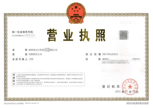 深圳食品貿易公司注冊,在龍崗區核心要解決無地址這一問題